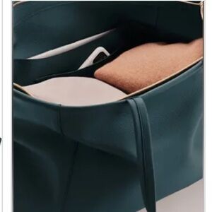 Beautiful Cuyana classic easy tote size large teal colored